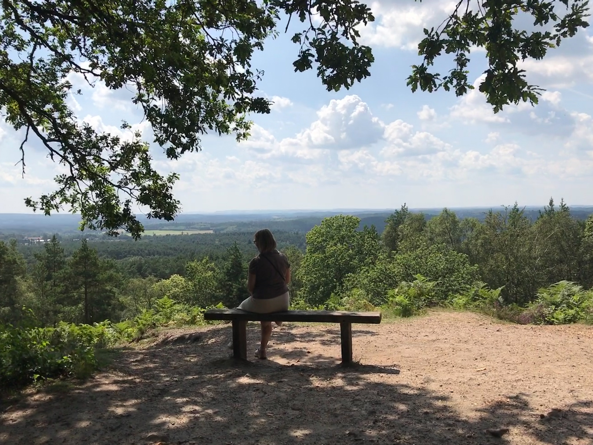 Lady sat on bench at Crooksbury Hill viewpoint, looking out at sunny landscape