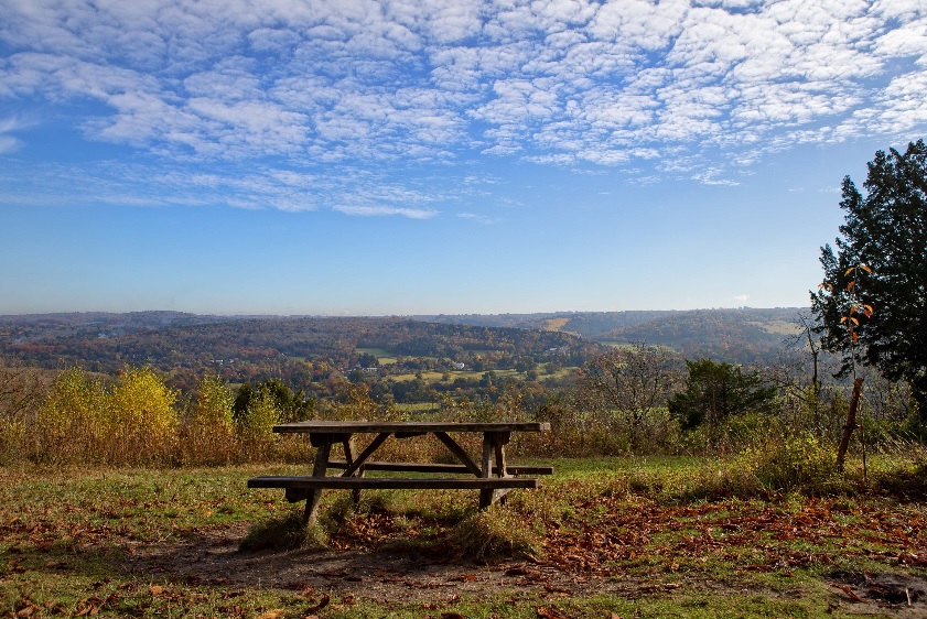 Norbury Park viewpoint bench with landscape view